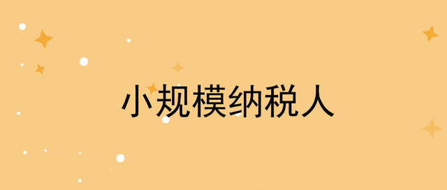 小规模纳税人,小规模纳税人和一般纳税人的区别及报税流程